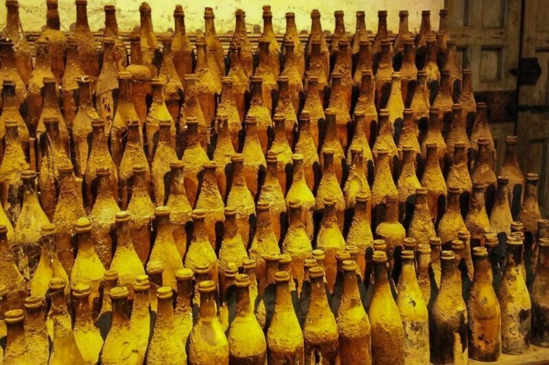 Half-Day Wine Tour in Andalusia in small group - Final Thoughts