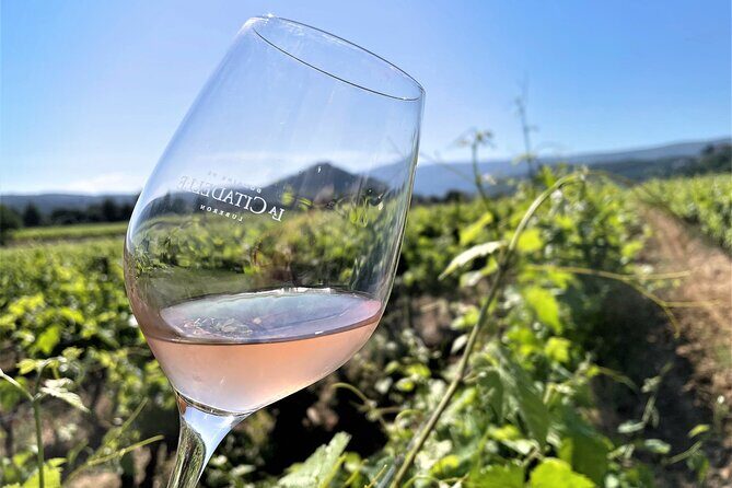 Half day Wine Tour in Bandol & Cassis from Aix en Provence - What Travelers Say