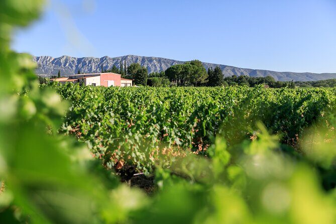 Half day Wine Tour in Côtes de Provence Sainte-Victoire from Aix en Provence - Key Points