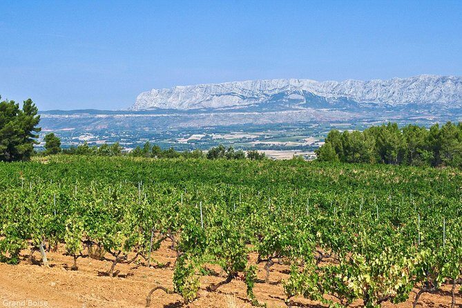 Half day Wine Tour in Côtes de Provence Sainte-Victoire from Aix en Provence - The Experience in Detail