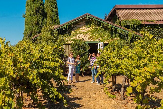 Half-Day Wine Tour Plus Hop-On Hop-Off Bus Pass - Price and Value: Is It Worth It?