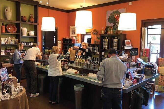 Half-Day Wine Tour Plus Hop-On Hop-Off Bus Pass - Who Should Consider This Tour?