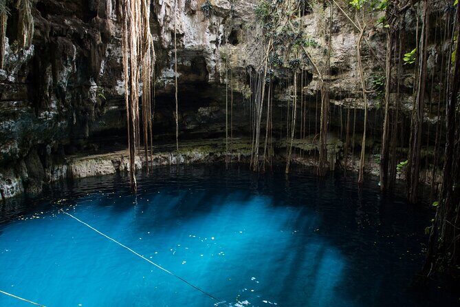 Half-Day Yucatan's Instagram Cenotes PRIVATE TOUR - What the Tour Offers: A Deep Dive