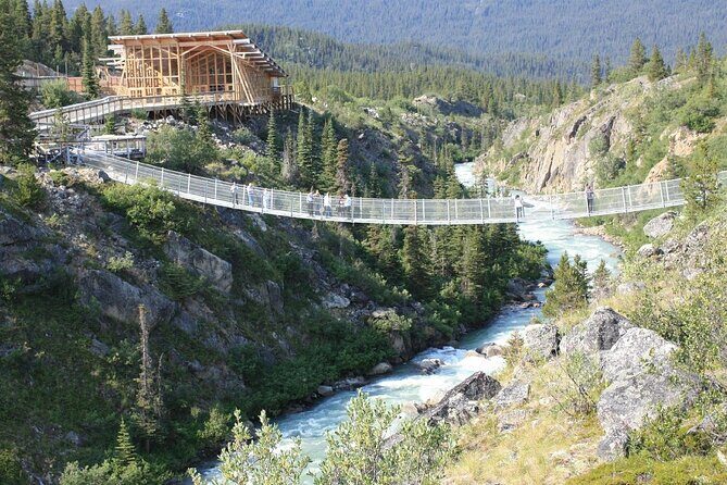 Half Day Yukon Suspension Bridge & Summit Tour - An Honest Look at the Experience