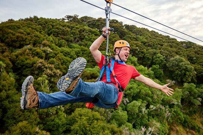 Half Day Zipline Adventure in Kaikoura - Who Is This Tour For?