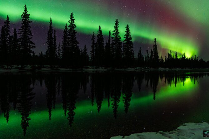Half Night Personalized Aurora Chase and Photography - Real Travelers’ Perspectives