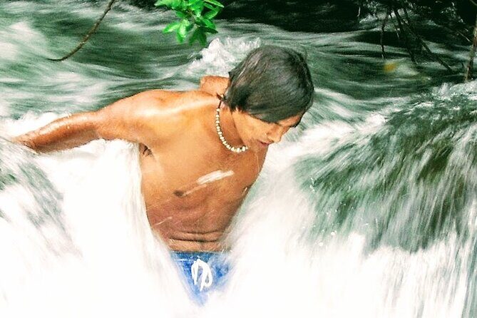 Halfway to Hana Private Tour Maui BlackBeach Waterfalls Turtles - The Experience: What You Can Expect