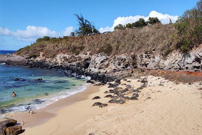 Halfway to Hana Private Tour Maui BlackBeach Waterfalls Turtles - FAQ