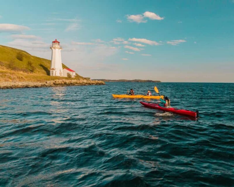 Halifax: Guided Kayak Tour with Multiple Options - What to Expect from the Halifax Kayak Tour