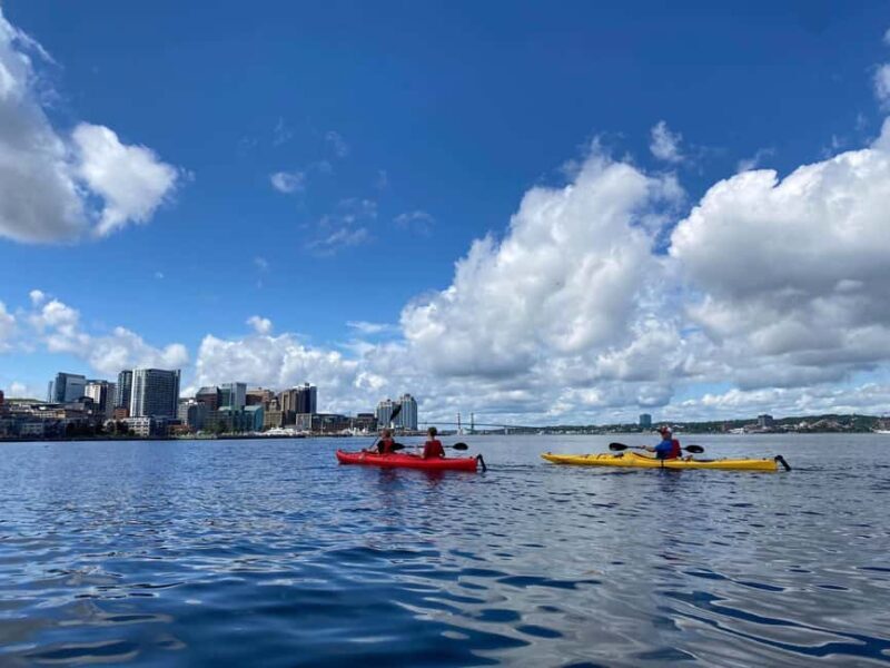 Halifax: Guided Kayak Tour with Multiple Options - Is It Worth the Price?