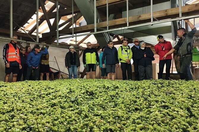 Hallertau experience with hop harvest, lunch and hop museum - An In-Depth Look at the Hallertau Hop Tour