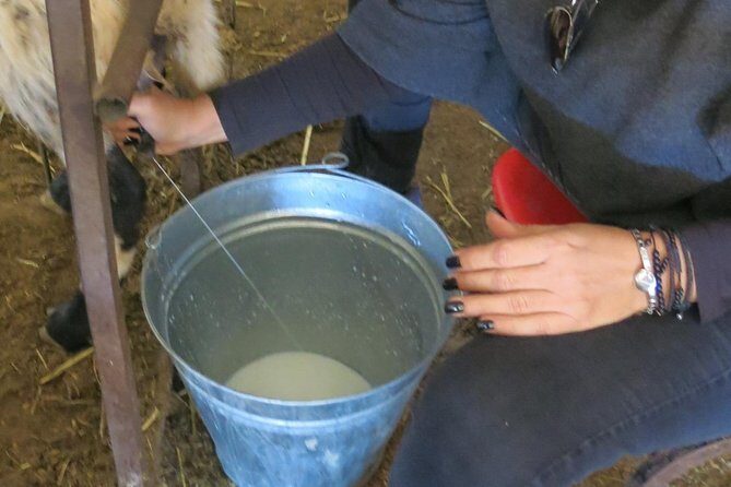 Halloumi Heaven: Cheese-Making Class & Troodos Mountain Villages 8h - Final Thoughts