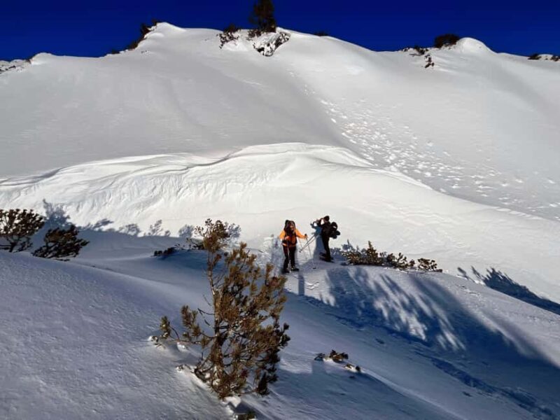 Hallstatt: Snowshoeing from Krippenstein to Zwölferkogel - Key Points