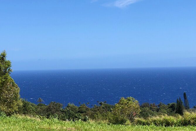 Hamakua Coast Farm Small-Group Walking and Tasting Tour - An Honest Look at the Experience