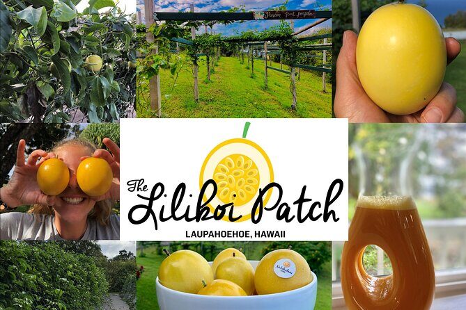 Hamakua Coast Farm Small-Group Walking and Tasting Tour - The Value of Price and Duration