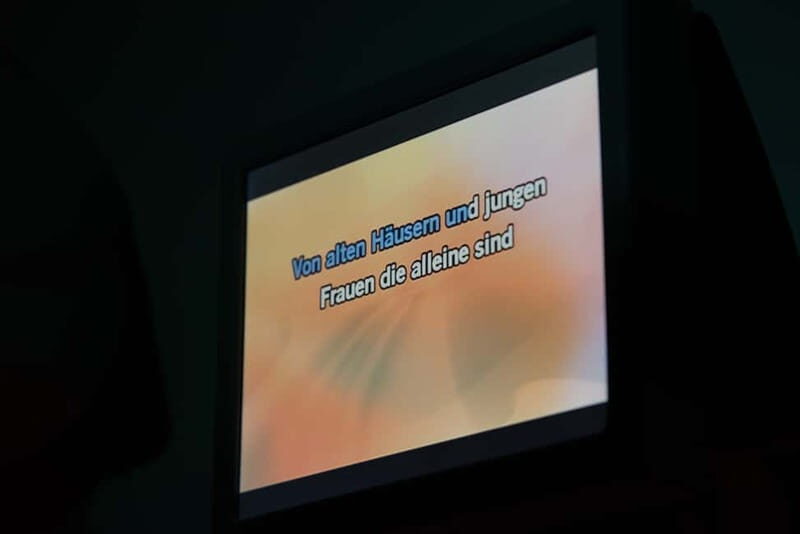 Hamburg: 1.5-Hour International Karaoke Bus Tour - Final Thoughts: Is It Worth It?