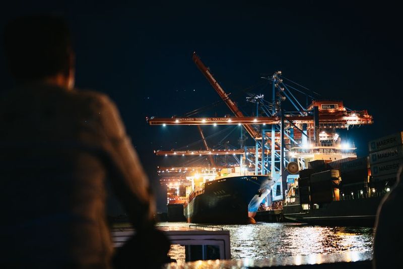 Hamburg: 1-Hour Evening Harbor Lights Cruise - The container cranes and cargo ships finale: Hamburg at full volume