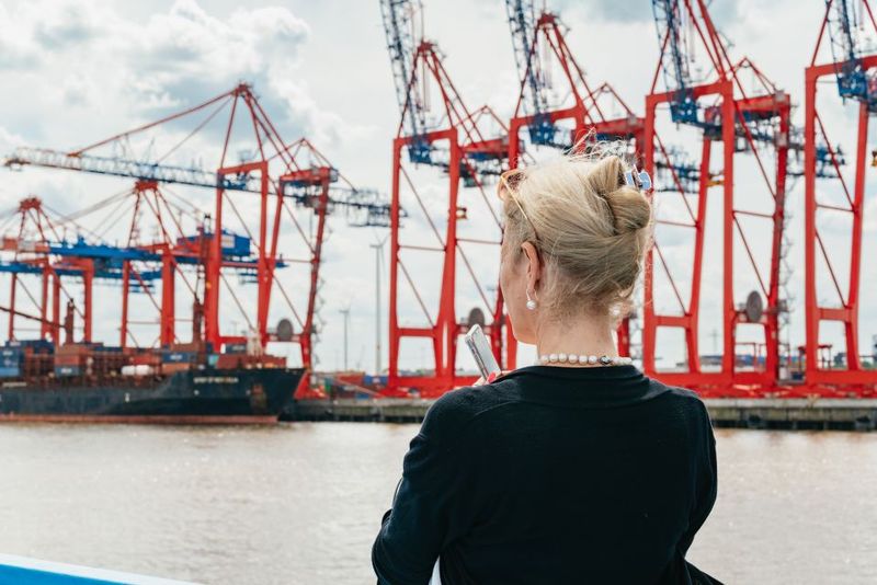 Hamburg: 1-Hour Harbor Sightseeing Cruise with HafenCity - Elbe River Views and the 2,400-Bridge Feeling