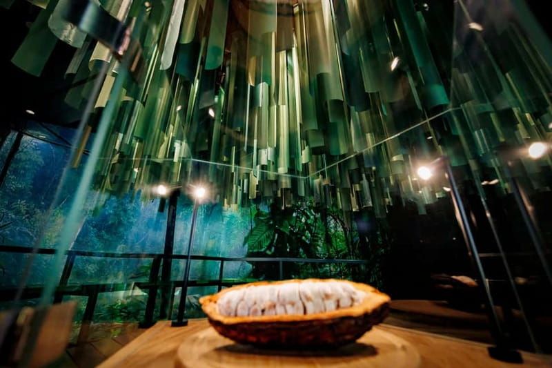 Hamburg: Chocoversum Guided Tour with Tastings - Becoming a chocolatier: making your own bar to take home