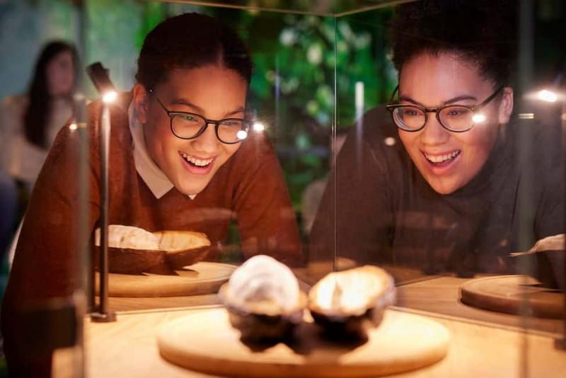 Hamburg: Chocoversum Guided Tour with Tastings - Guide quality: why names like Hannah and Sharon keep showing up