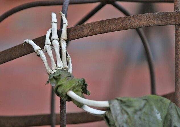 Hamburg Half Day Walking Tour with a Local: 100% Personalized & Private - Authentic Reviews & What They Say