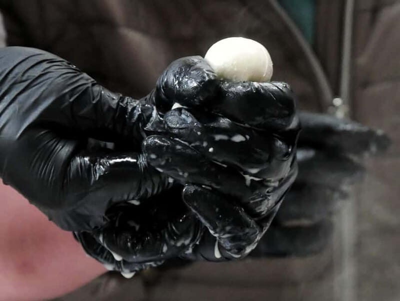 Hamburg: Mozzarella course with accompanying wines - Is it Family Friendly?