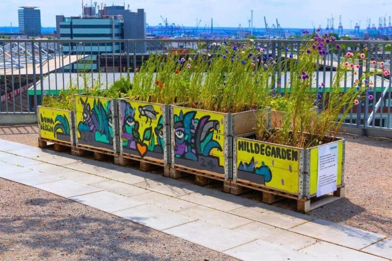 Hamburg: Walking tour of the Green Bunker in St. Pauli - The Roof Garden and Views