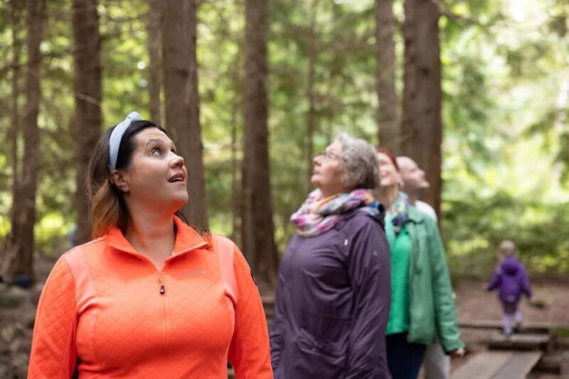 Hämeenlinna: Aulanko Park Forest Guided Walking Tour - Key Points