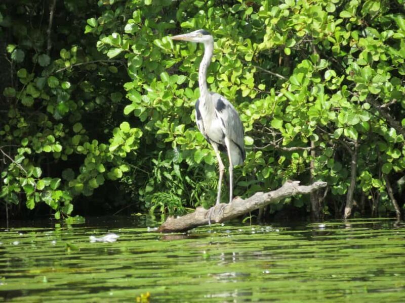 Hämeenlinna: Hiidenjoki river Cruise - Key Points