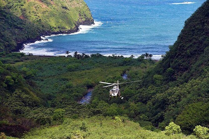 Hana Rainforest Helicopter Flight with Landing from Maui - Who Should Consider This Tour?