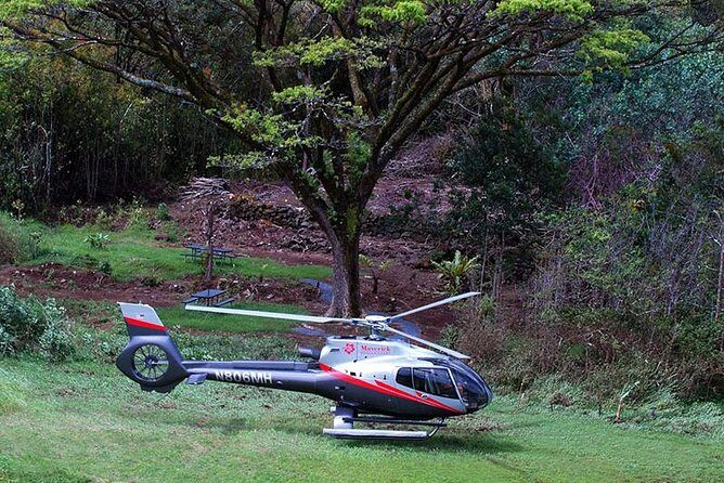 Hana Rainforest Helicopter Flight with Landing from Maui - Final Thoughts
