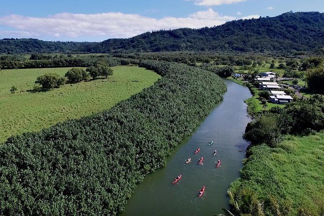 Hanalei Bay Morning Kayak and Snorkel Tour - Who Would Enjoy This Tour?