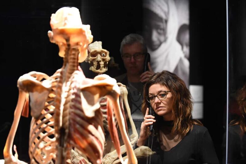 Hanau: Your ticket to the BODY WORLDS exhibition - Key Points