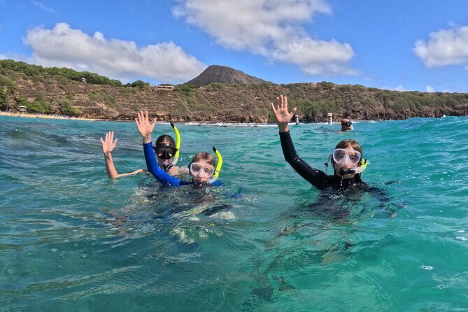 Hanauma Bay Guided Snorkel Tour (with guaranteed entrance time) - Who Is This Tour Best For?