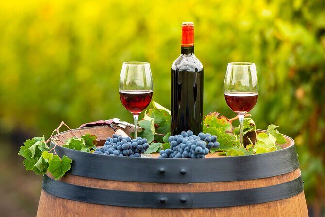 Hands-On Cooking Class & Farmhouse Tour on the Amalfi Coast - The Overall Experience and Atmosphere