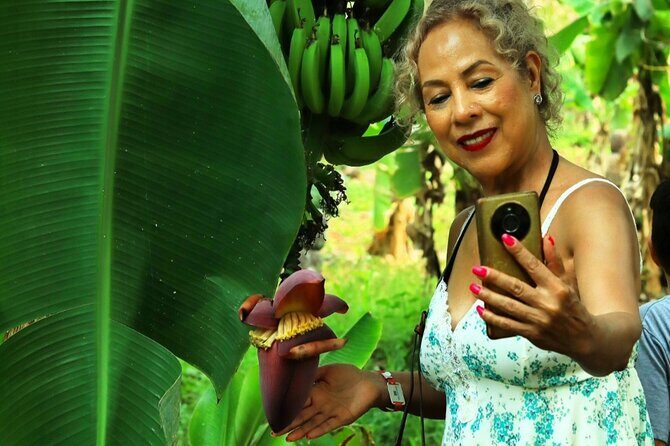 Hands-on Mexican Farm Experience: from Cow to Cheese - A Closer Look at What to Expect