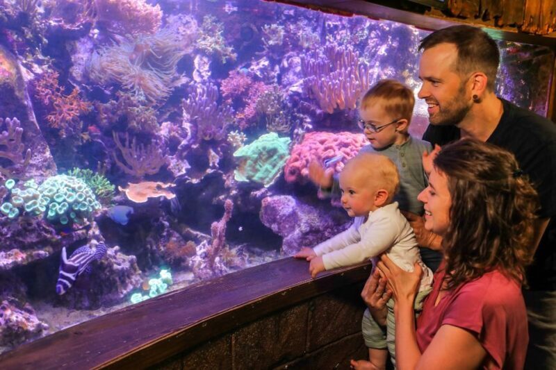 Hanover: SEA LIFE Entry Ticket - Frequently Asked Questions
