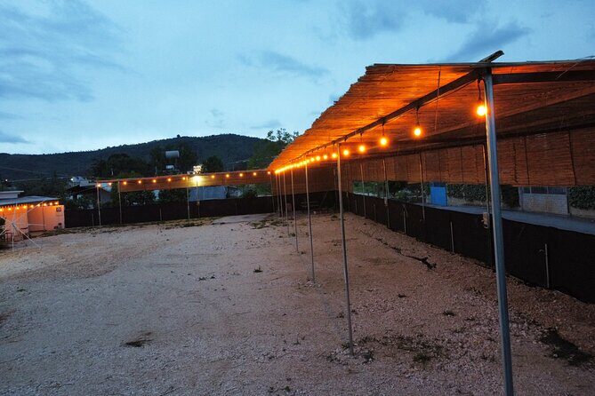 Happy Camping Berat - Who Is This Camping Site Best For?