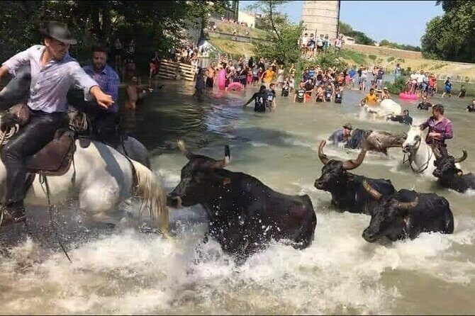 Happy tour camargue an immersion by bike and scooter E - FAQs