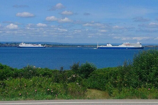 Harbor Highlights: Sydney City Tour - What to Expect from the Tour