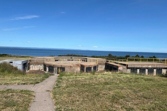 Harbor Highlights: Sydney City Tour - Who Is This Tour Best For?