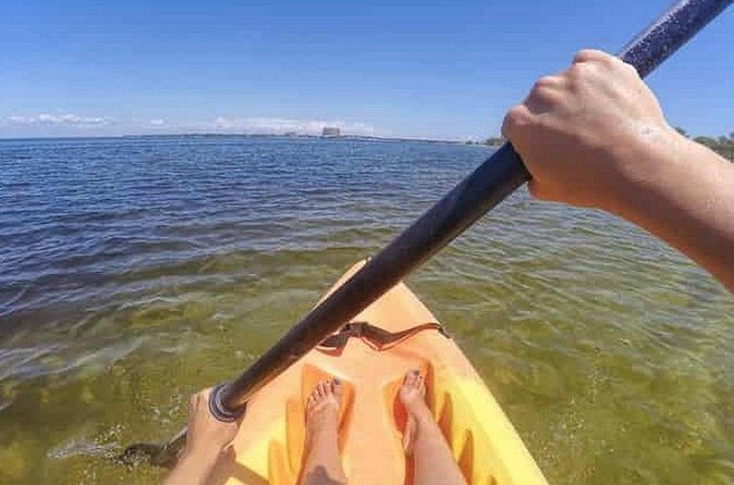 Harbor Kayak Rental in Destin, Florida - Key Points