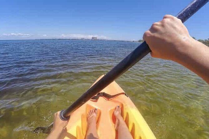 Harbor Kayak Rental in Destin, Florida - Who Would Love This Experience?