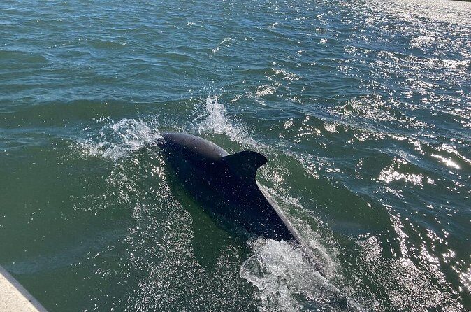 Harborside Orange Crush Cruise - FAQ