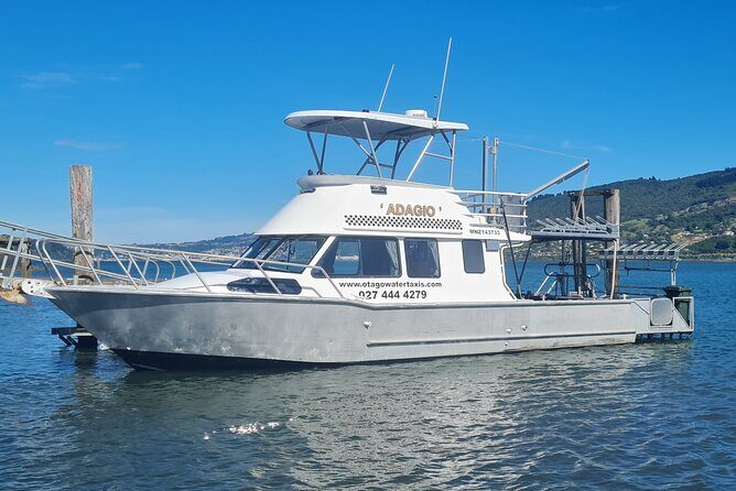 Harbour, Albatross and Wildlife Cruise on Otago Harbour - Exploring the Otago Harbour Wildlife Cruise: A Friendly Guide
