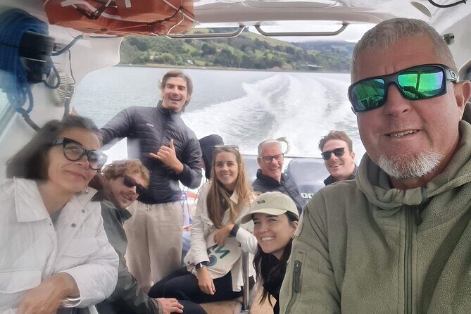 Harbour, Albatross and Wildlife Cruise on Otago Harbour - What to Expect on the Water