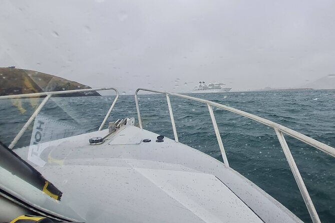 Harbour, Albatross and Wildlife Cruise on Otago Harbour - Is This Tour Right for You?