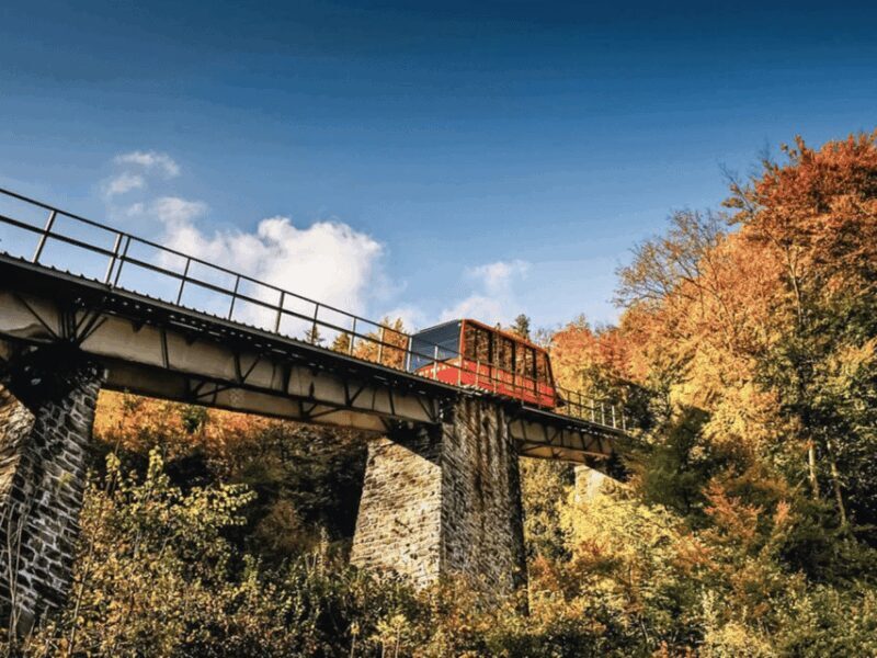 Harder Kulm and Grindelwald Private Day Trip - Who Should Consider This Tour?