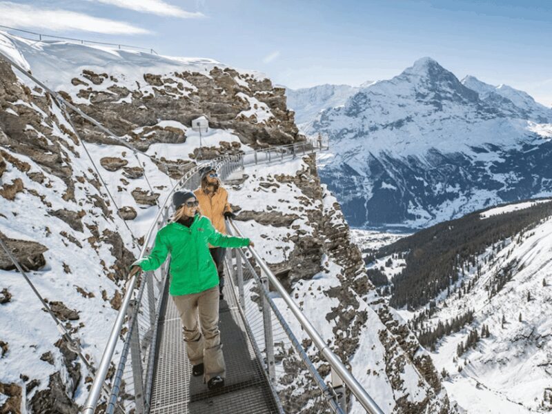 Harder Kulm and Grindelwald Private Day Trip - Final Thoughts