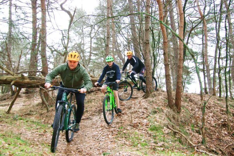 Harderwijk: Mountain Bike Rental on the Veluwe - What You Can Expect from This Bike Tour